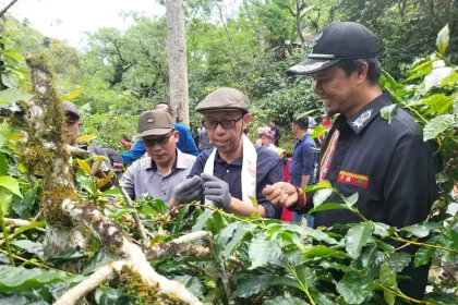 Festival Panen Kopi Gayo 2023 Dorong Kemajuan Desa Sumber foto: kebudayaan.kemdikbud.go.id