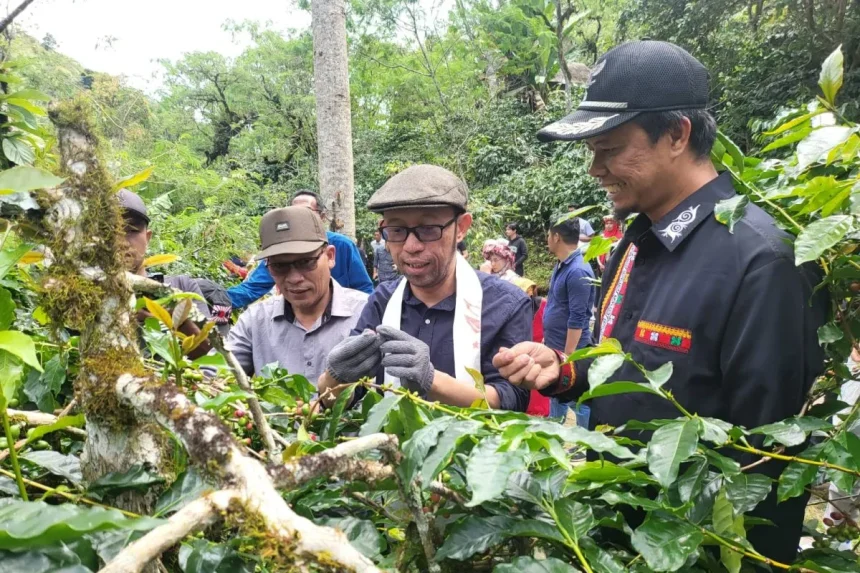 Festival Panen Kopi Gayo 2023 Dorong Kemajuan Desa Sumber foto: kebudayaan.kemdikbud.go.id