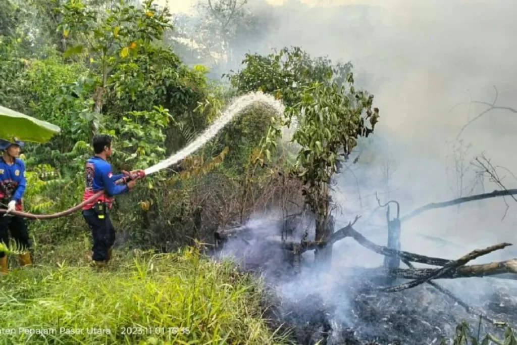 Kebakaran Lahan Terjadi di Desa Mulya dan Kelurahan Petung Sumber foto: penajamkab.go.id