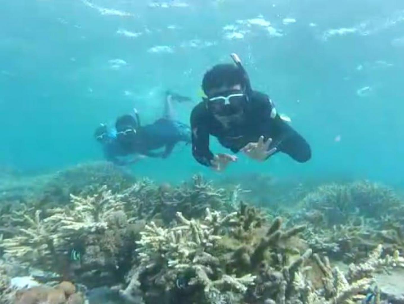 Wisata Bawah Laut di Desa Labuhan Lombok. Sumber foto : Dok. Kemenparekraf. 