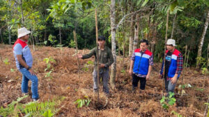 Pertamina kembangkan pelestarian hutan di Dusun Kokolomboi, Sulawesi Tengah Sumber Foto: Istimewa