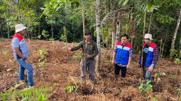 Pertamina kembangkan pelestarian hutan di Dusun Kokolomboi, Sulawesi Tengah Sumber Foto: Istimewa