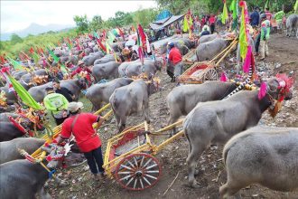 foto makepung, sumber foto: Istimewa