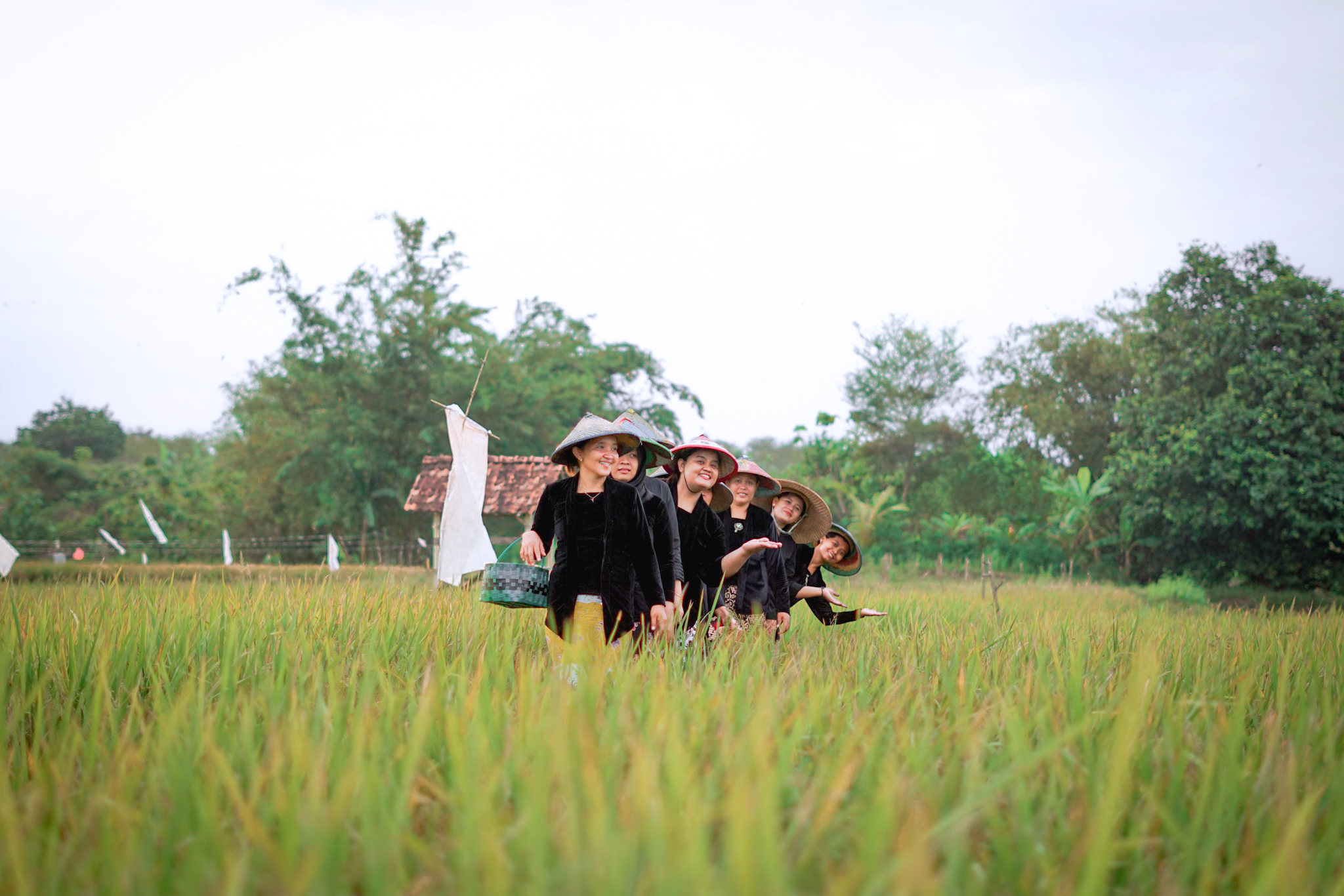 Hamparan Sawah di Desa Wisata Sambongrejo yang nampak asri. Sumber foto : Dok. Kemenparekraf.