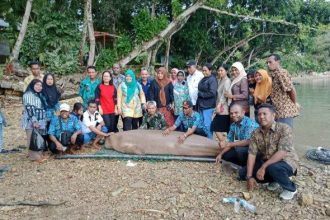 Wisatawan Bersama Dugong Mayangsari, Sumber Foto: Istimewa