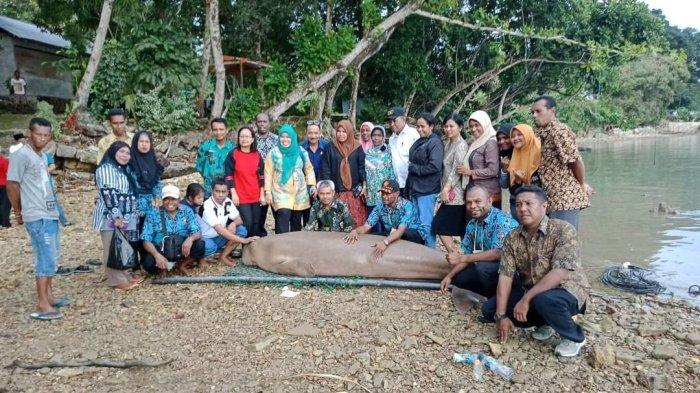 Wisatawan Bersama Dugong Mayangsari, Sumber Foto: Istimewa