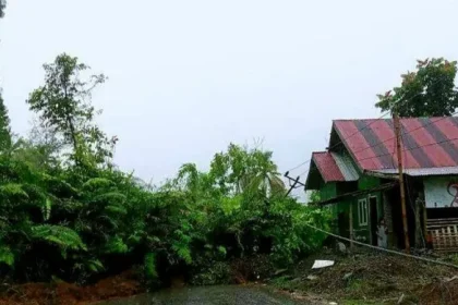 foto longsor gorontalo