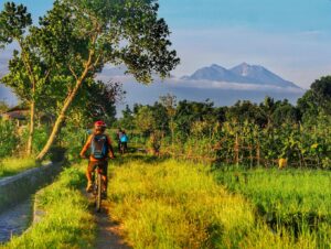 Desa Bilebante suguhkan wisata dengan keasrian alamnya dan masih memiliki banyak lahan persawahan khas perdesaan. Sumber Foto: Dok. Kemenparekraf