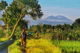 Desa Bilebante suguhkan wisata dengan keasrian alamnya dan masih memiliki banyak lahan persawahan khas perdesaan. Sumber Foto: Dok. Kemenparekraf