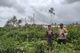 Salah satu petani Desa Handil Birayang Atas Termotivasi dalam Giat Bercocok Tanam