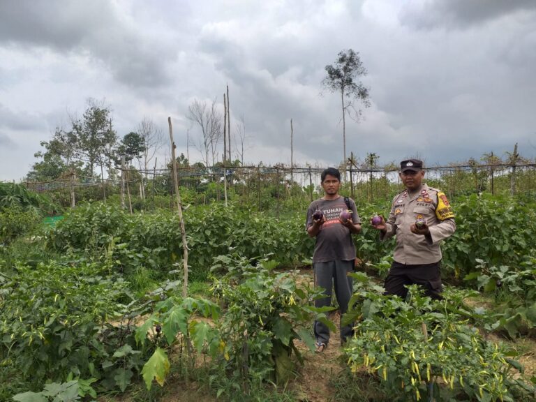 Salah satu petani Desa Handil Birayang Atas Termotivasi dalam Giat Bercocok Tanam