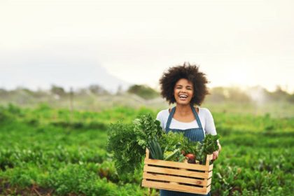 Ilustrasi Desa Tukum berhasil manfaatkan lahan kosong menjadi produktif.