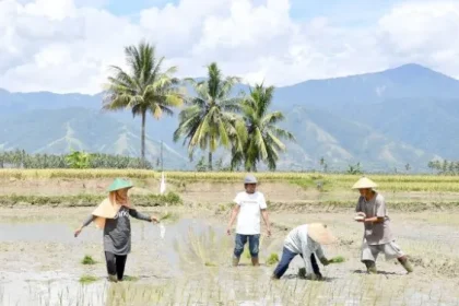 foto: Presiden RI saat mengunjungi petani, sumber foto: Istimewa
