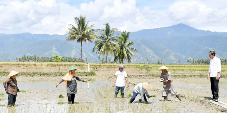 foto: Presiden RI saat mengunjungi petani, sumber foto: Istimewa