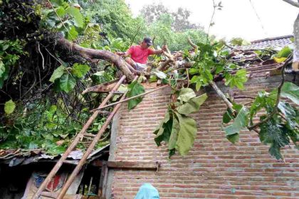 Hujan deras mengakibatkan pohon tumbang menimpa rumah warga di Desa Sumberjatipohon. Sumber: Istimewa.