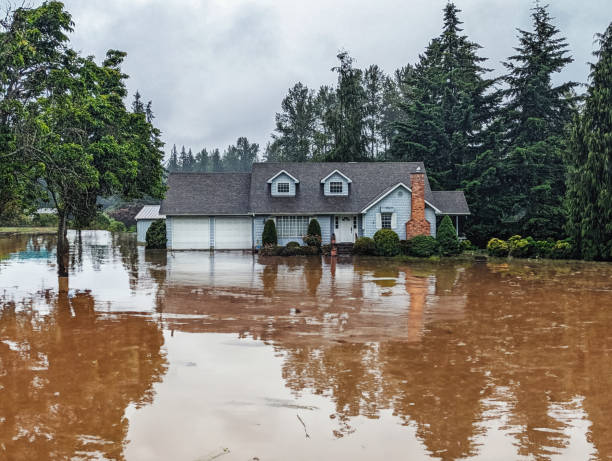 foto: ilustrasi banjir air keruh, sumber foto: istock