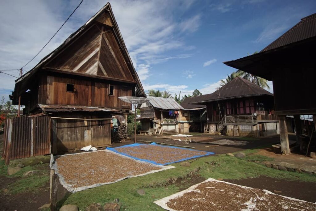 Rumah Adat Besemah, Simbol Kearifan Lokal dalam Mitigasi Bencana