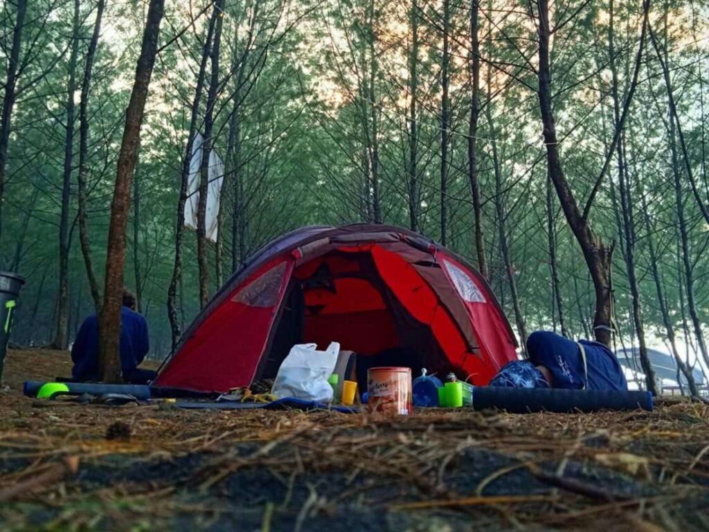 Ekowisata Pantai Cemara di Desa Mojomulyo