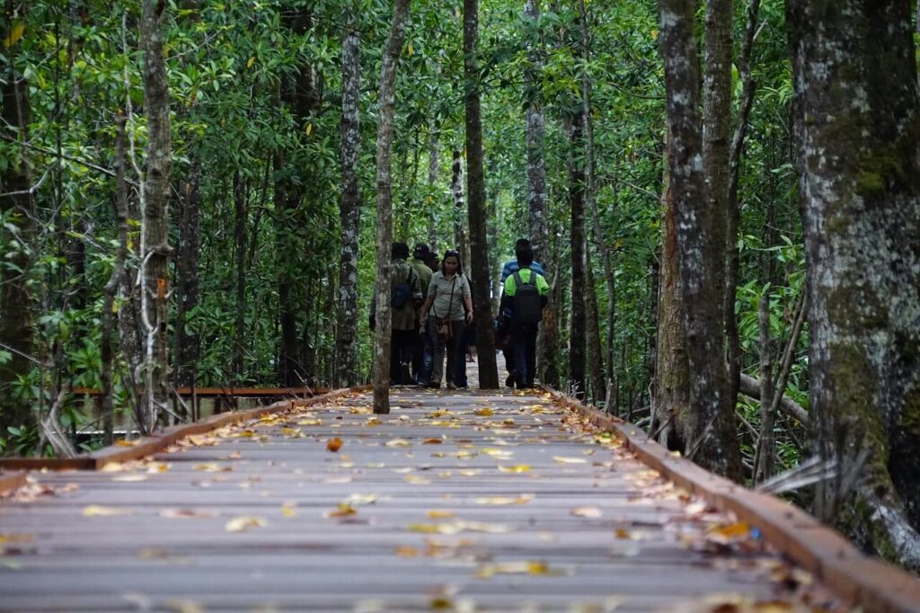 Ekowisata Mangrove Pomako, Sumber Foto: Dok. Blue Forests