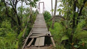 Kondisi Jembatan Nala di Desa Waemasing, Kecamatan Waesama, Kabupaten Buru Selatan, Sumber foto: Dok. Tribun Ambon