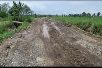 Pembangunan jalan baru di Desa Sumberbaru, Banyuwangi. Sumber foto : kabarbaru.co