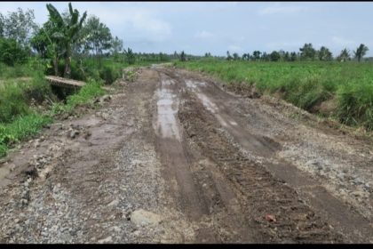 Pembangunan jalan baru di Desa Sumberbaru, Banyuwangi. Sumber foto : kabarbaru.co
