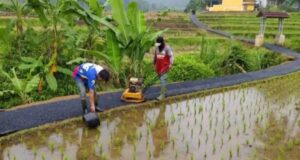 Peningkatan Jalan Usaha Tani (JUT), Desa Cibadak, Kecamatan Cibeber, Foto, iNewsCianjur.id