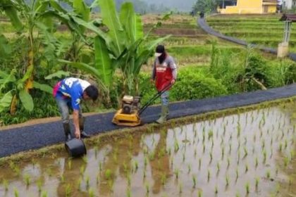 Peningkatan Jalan Usaha Tani (JUT), Desa Cibadak, Kecamatan Cibeber, Foto, iNewsCianjur.id