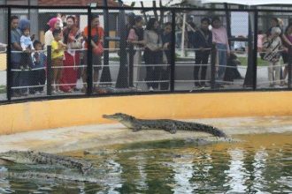 Terlihat ramai pengunjung kolam Penangkaran Buaya Asam Kumbang pasca direnovasi. Sumber foto: medan.tribunnews.com