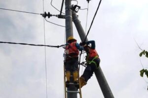 Petugas PLN saat Menyelesaikan Pembangunan Jaringan Listrik di NTT. Sumber foto : AntaraNTT