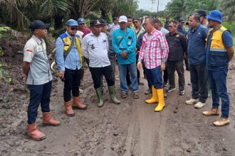 Pj Penjabat Bupati Banyuasin H Hani Syopiar Rustam didampingi para perangkat kecamatan dan desa setempat melakukan peninjauan jalan desa. Sumber foto: sumeks.disway.id