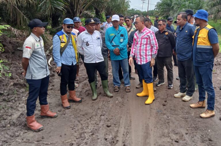 Pj Penjabat Bupati Banyuasin H Hani Syopiar Rustam didampingi para perangkat kecamatan dan desa setempat melakukan peninjauan jalan desa. Sumber foto: sumeks.disway.id