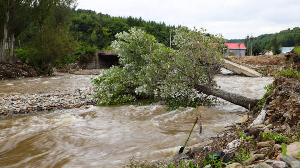 ilustrasi banjir, sumber foto: Istock