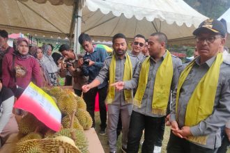 Festival Durian yang diadakan di Pulau Mutiara Nagari Lubuk Gadang Utara Solok Selatan. Sumber foto:www.sumbarprov.go.id