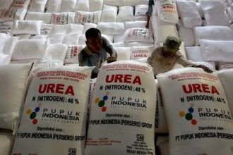 Ilustrasi pupuk subsudi. Sumber foto: Lipuan6.com