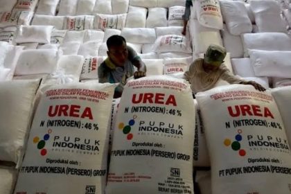Ilustrasi pupuk subsudi. Sumber foto: Lipuan6.com