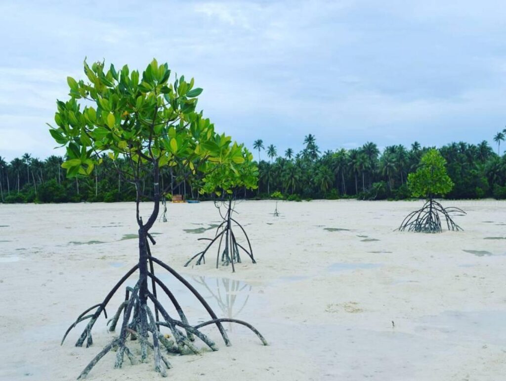 Desa Wisata Ngilngof dan Pantai Pasir Putih Terhalus di Dunia