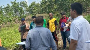 Objek sengketa lahan di Desa Karangasem yang saat ini menjadi milik Pemdes Karangasem. Foto : Rubadi/ RMOLJateng.