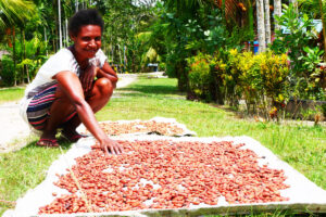 Mama Papaua sedang menjemur biji Kakao, Sumber Foto: Dok.Mongobay