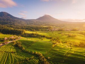 Salah satu pemandangan dan waktu terbaik di Desa wisata Jatiluwih,Bali. Sumber Foto: Bali Jadesta.