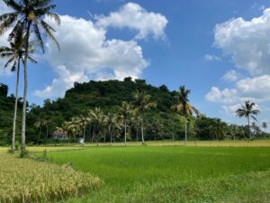 Pemandangan unung Sepikul di Desa/Kecamatan Pakusari, Kabupaten Jember yang di bawahnya terdaat hamparan sawah. Sumber foto : Pemdes Pakusari.