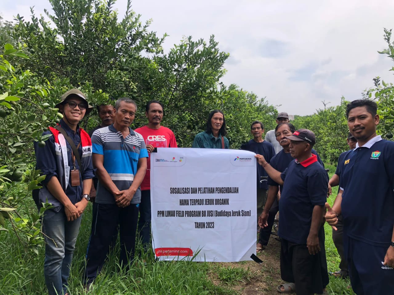 Kembangkan Pembibitan Jeruk, Desa Air Talas Tingkatkan Ekonomi Warga