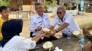 Camat Bungus Harnoldi, bersama kepala dinas Tenaga Kerja dan Perindustrian menikmati kuliner durian di desa Wisata Teluk Buo Sumber foto: Istimewa