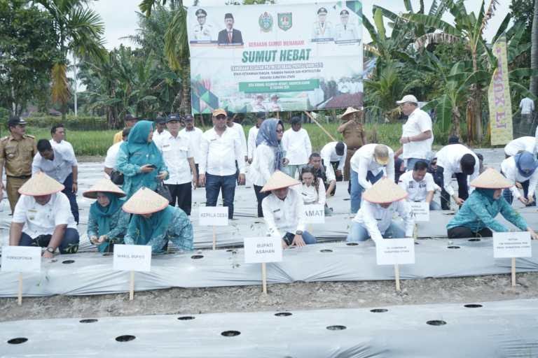 Pemerintah melakukan penanaman cabai di desa serdang Sumber Foto: Metro7.co.id