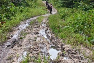 Ruas jalan di Kampung Wardik rusak berat. Sumber: Dok. Tribun Sorong