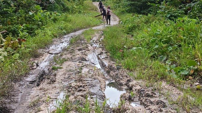 Ruas jalan di Kampung Wardik rusak berat. Sumber: Dok. Tribun Sorong