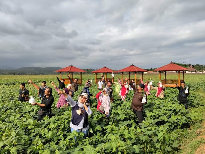 Taman anggur ini merupakan salah satu unit usaha BUM Desa Kridha Manunggal Jaya. Sumber foto: website resmi desamegulungkidul.