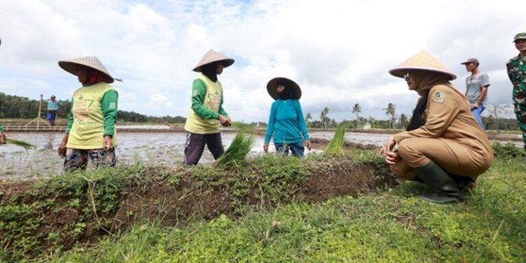 Bupati Ipuk Fiestiandani meninjau pertanian terpadu saat menjalani program Bunga Desa di Desa Temuguruh. Sumber: rmol.id/nusantara