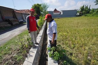 Sejumlah Perangkat Desa Sumberlele, Kecamatan Kraksaan, meninjau pembangunan irigasi di Dusun Kertoutomo. Sumber : Fahreza Nuraga/Radar Bromo