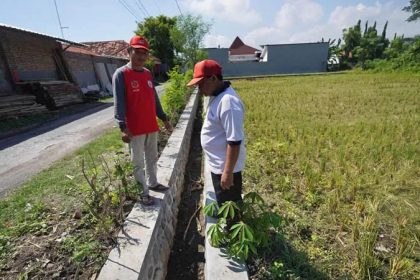 Sejumlah Perangkat Desa Sumberlele, Kecamatan Kraksaan, meninjau pembangunan irigasi di Dusun Kertoutomo. Sumber : Fahreza Nuraga/Radar Bromo